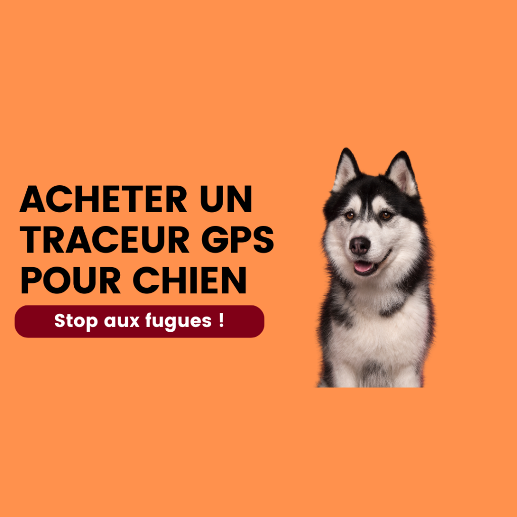 acheter un traceur gps pour chien