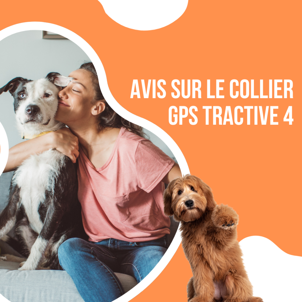 avis collier gps tractive 4