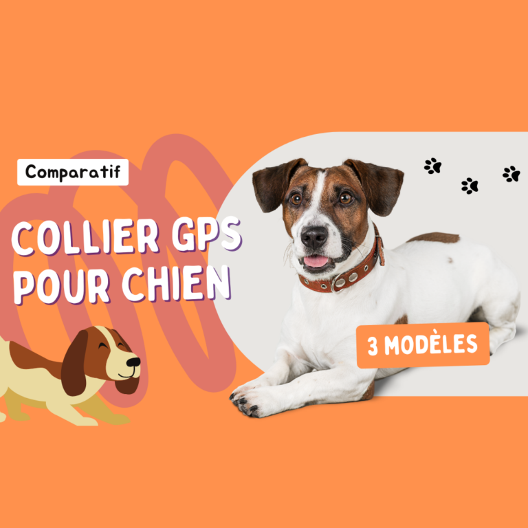 collier gps chien