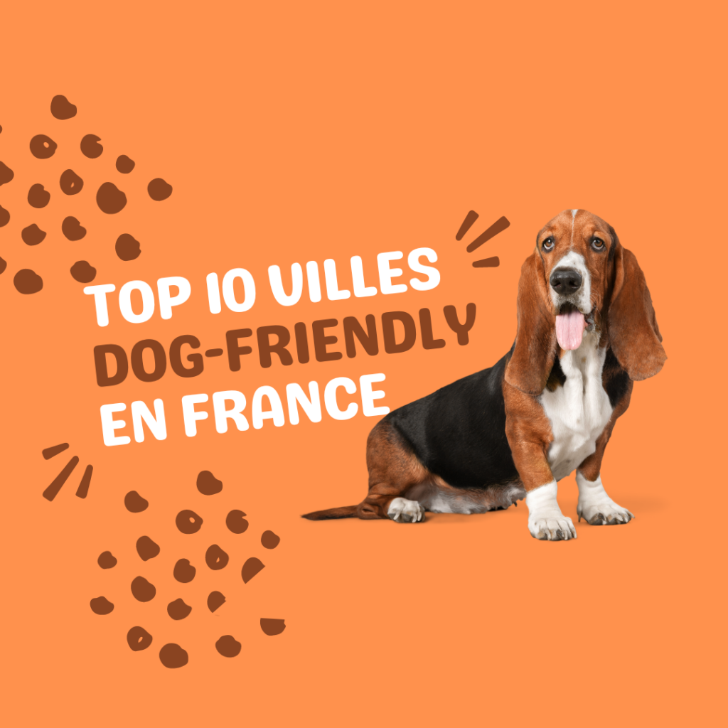 top 10 villes dog friendly en france