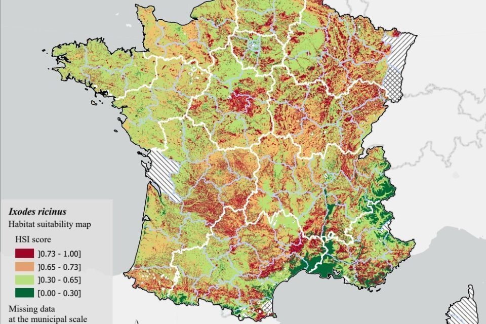 carte tique france