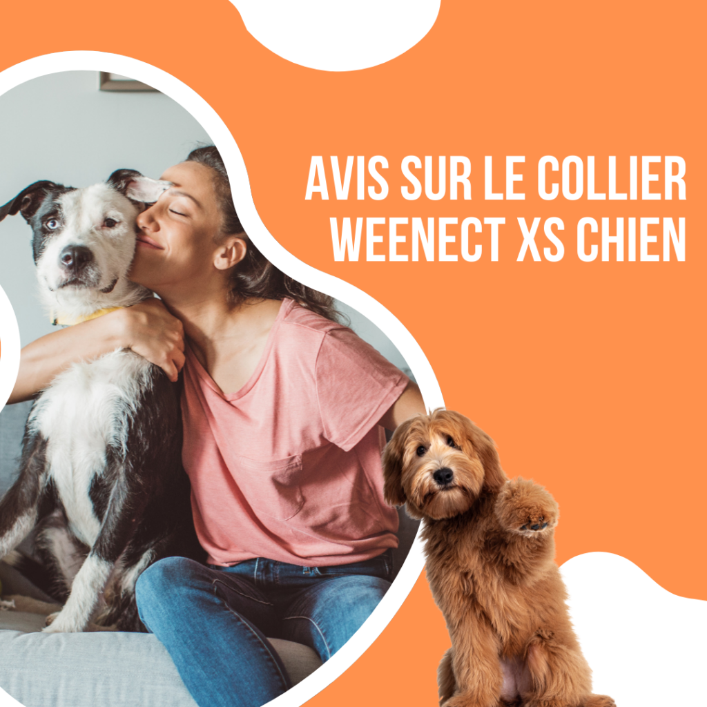 avis collier weenect xs chien