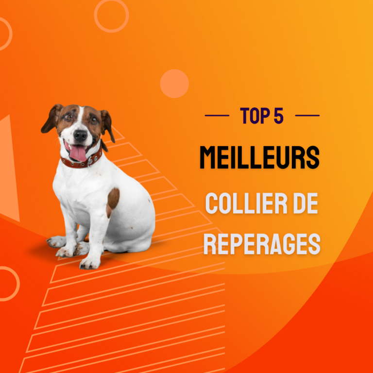 meilleurs collier de reperages