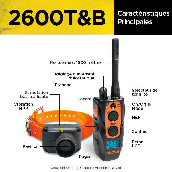 dogtra 2600tb